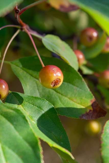 最终赢得胜 最终赢得胜
