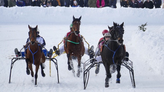 通过对阿瑙 通过对阿瑙