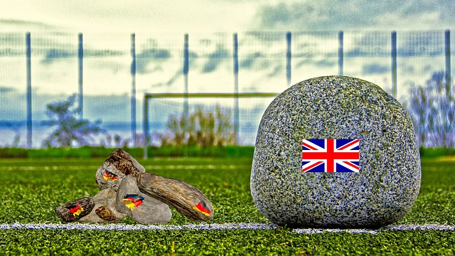 是他们未来 是他们未来