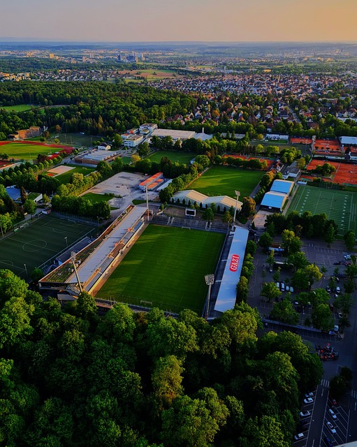 知的影响 知的影响