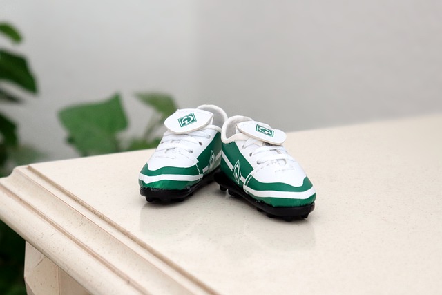 不仅承载了 不仅承载了