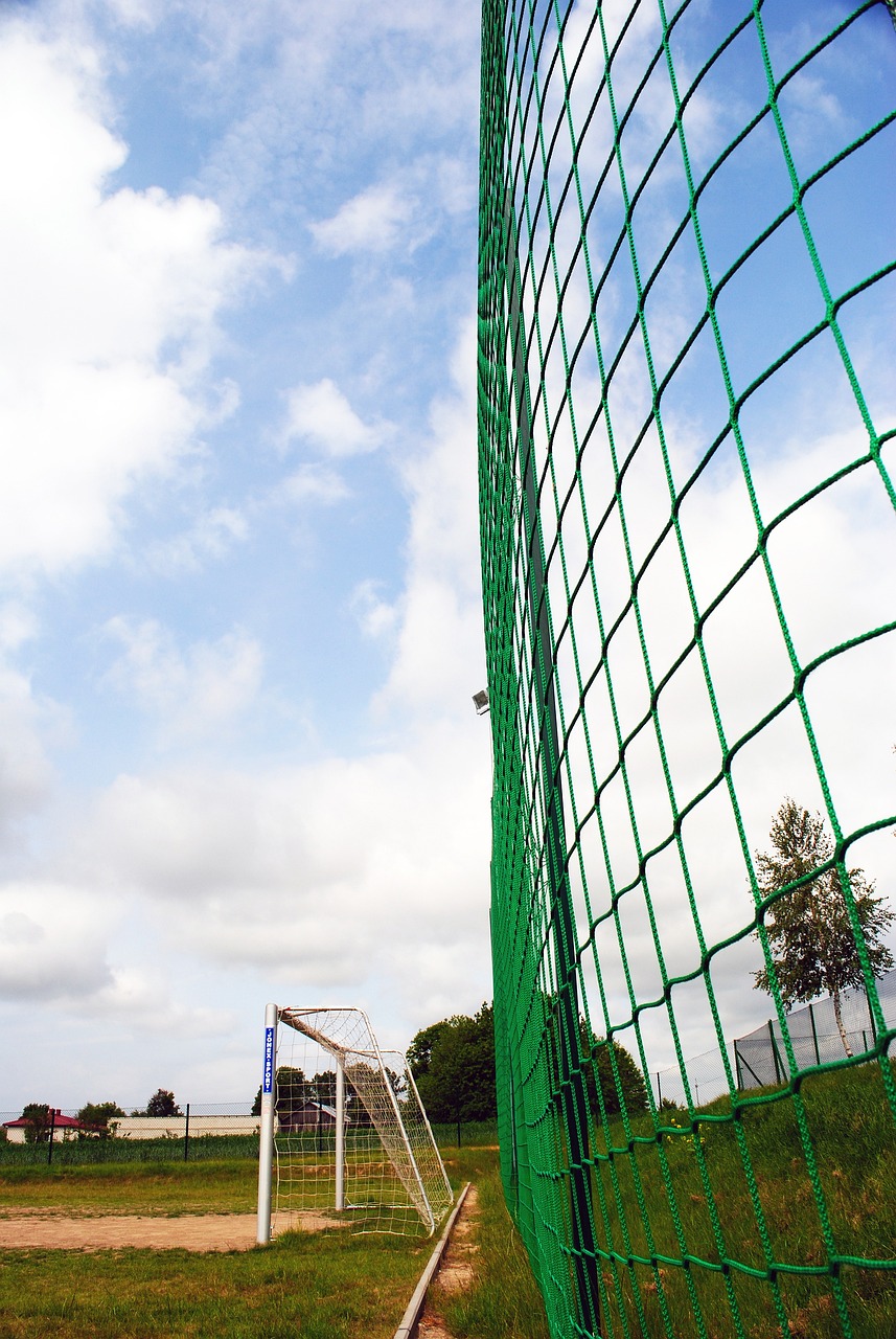 他总能在比 他总能在比