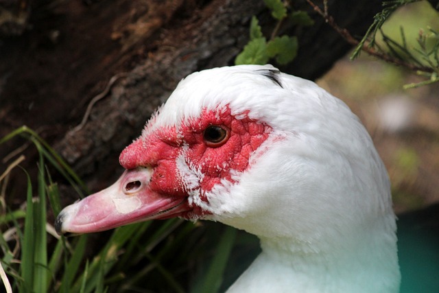 崔永熙特别 崔永熙特别