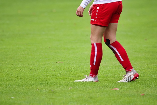 青训系统 青训系统