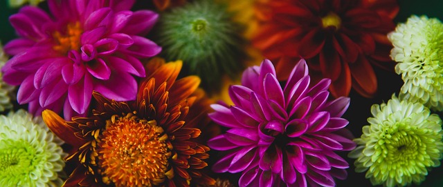 的篮球智慧 的篮球智慧